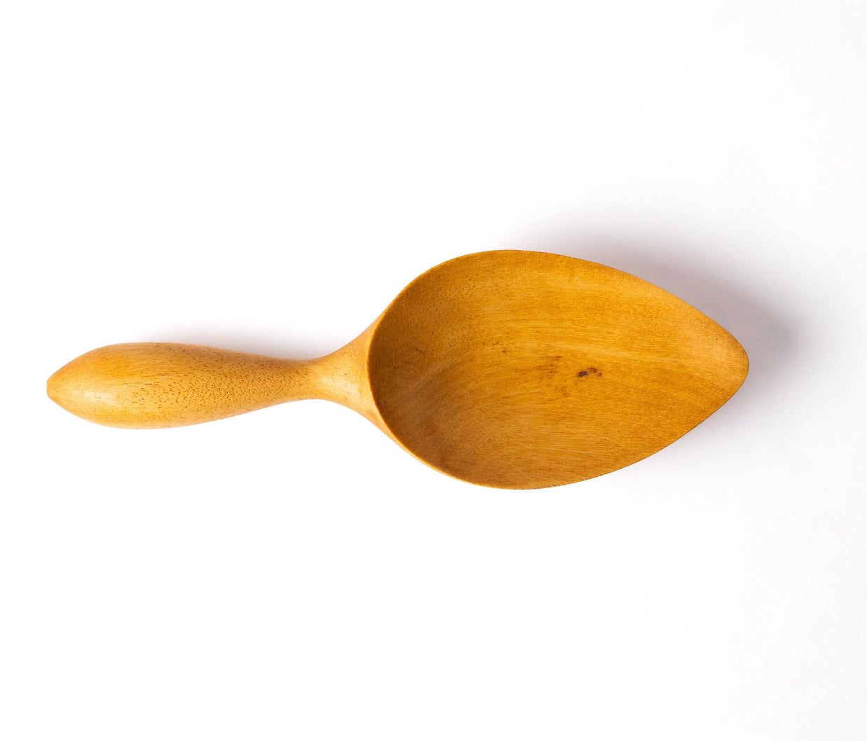 Selva Scooper - Piquiá