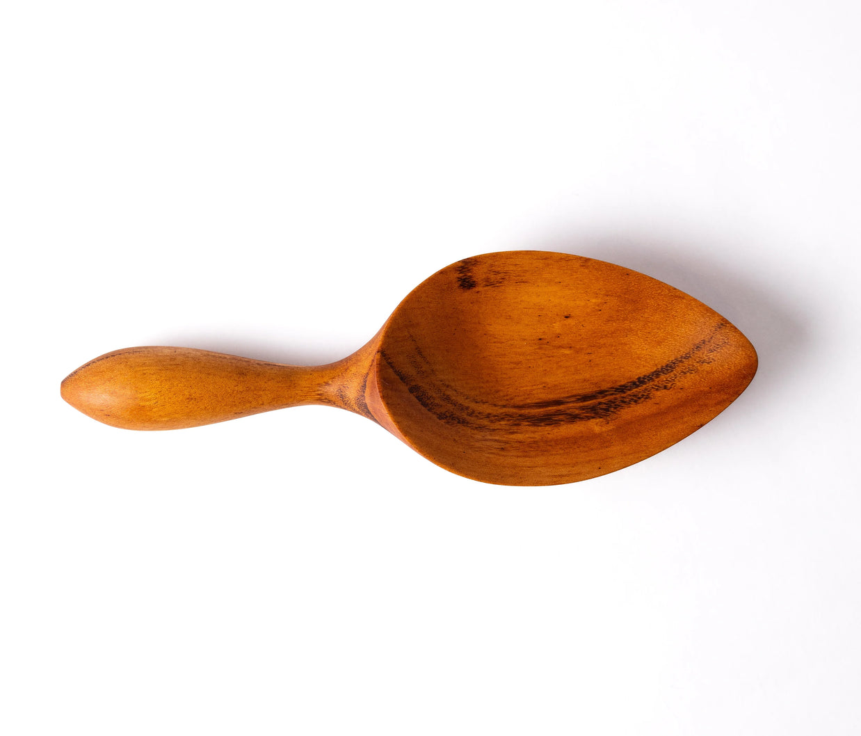 Selva Scooper - Muiracatiara