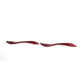Harmonia Serving Spoon - Roxinho
