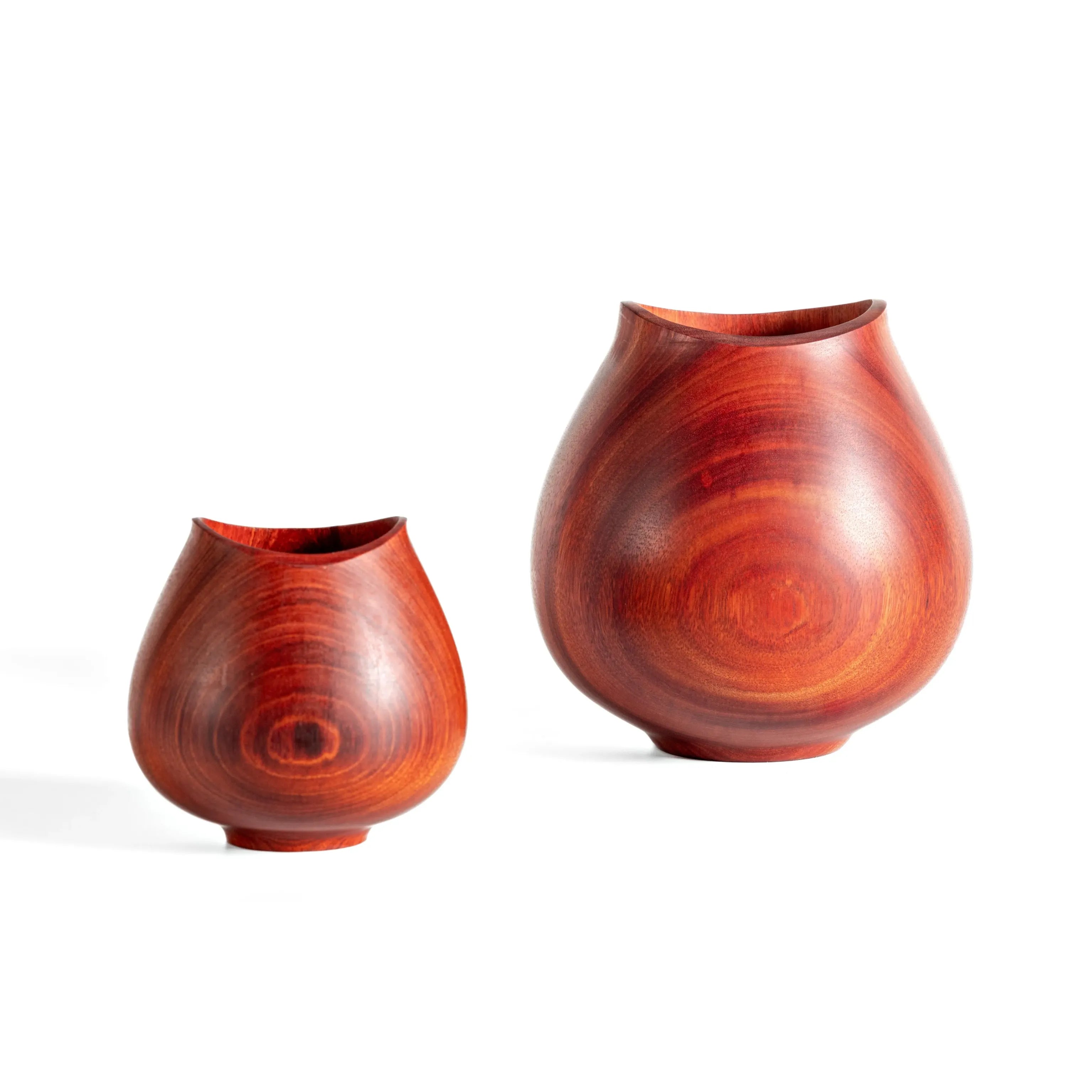 Tulipa Vase - Muirapiranga